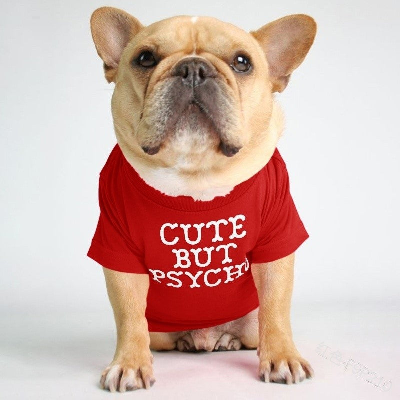 Round Neck T-Shirt Teddy Bichon Cat and Dog Clothing