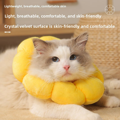 Adjustable Pet Recovery Collar Sunflower Design