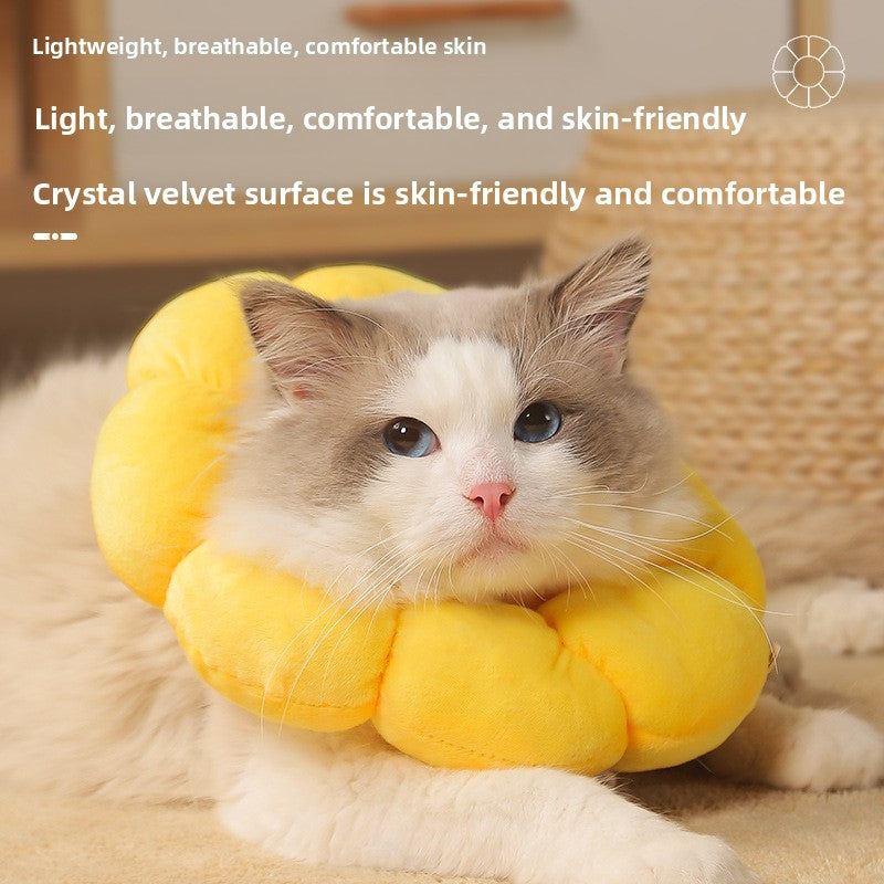 Adjustable Pet Recovery Collar Sunflower Design