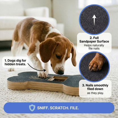 Dog nail scratch board