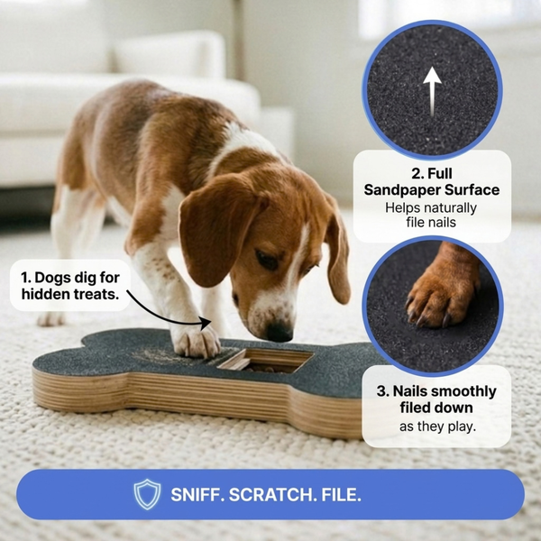 Dog Nail Scratch Board with Treat Drawer + FREE LED Nail Clipper