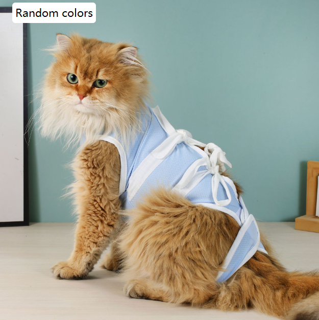 Blue Cat Pet Post-Surgery Recovery Suit for Cats