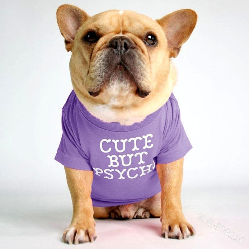 Round Neck T-Shirt Teddy Bichon Cat and Dog Clothing