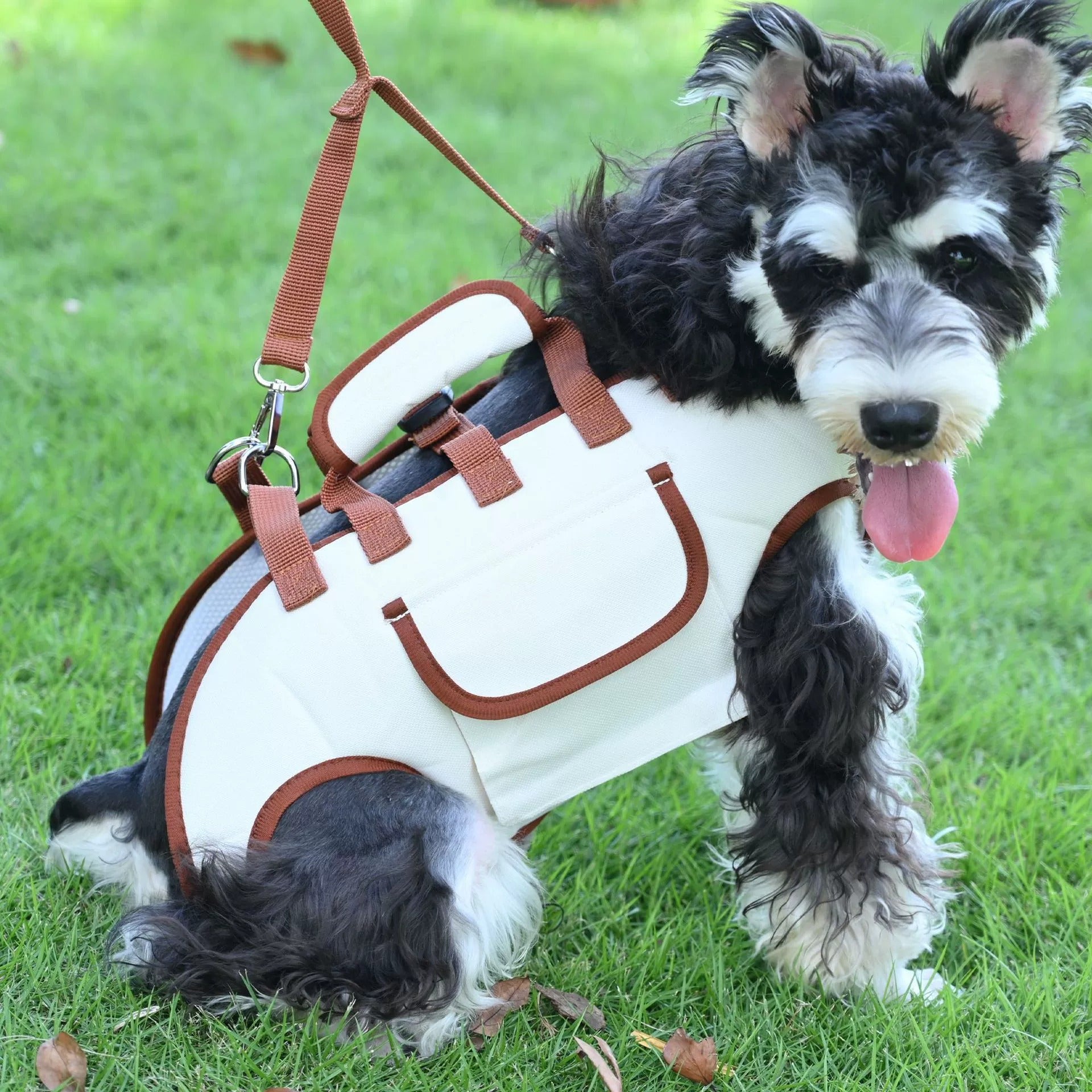 Portable Pet Dog Cat Carrier Backpack