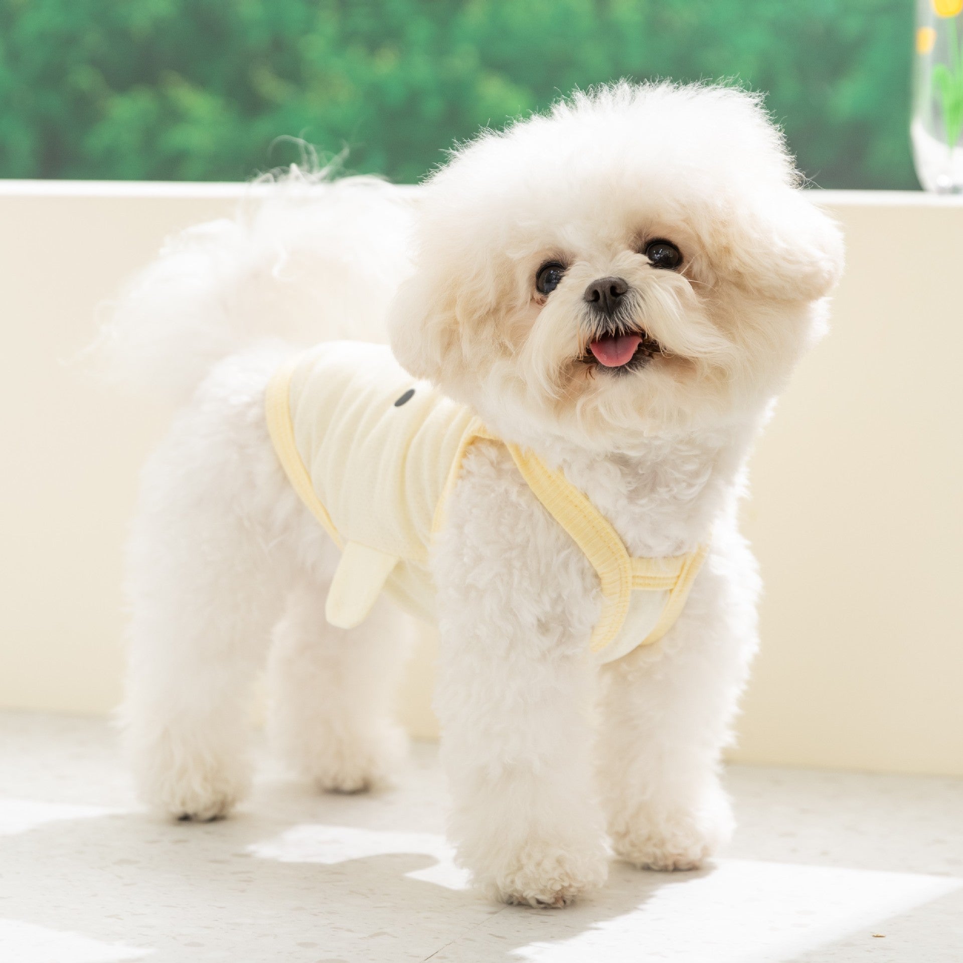 Cool Cool Dog Clothes