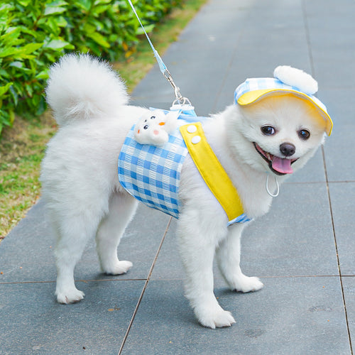 Adjustable Pet Harness with Leash for Cats and Dogs