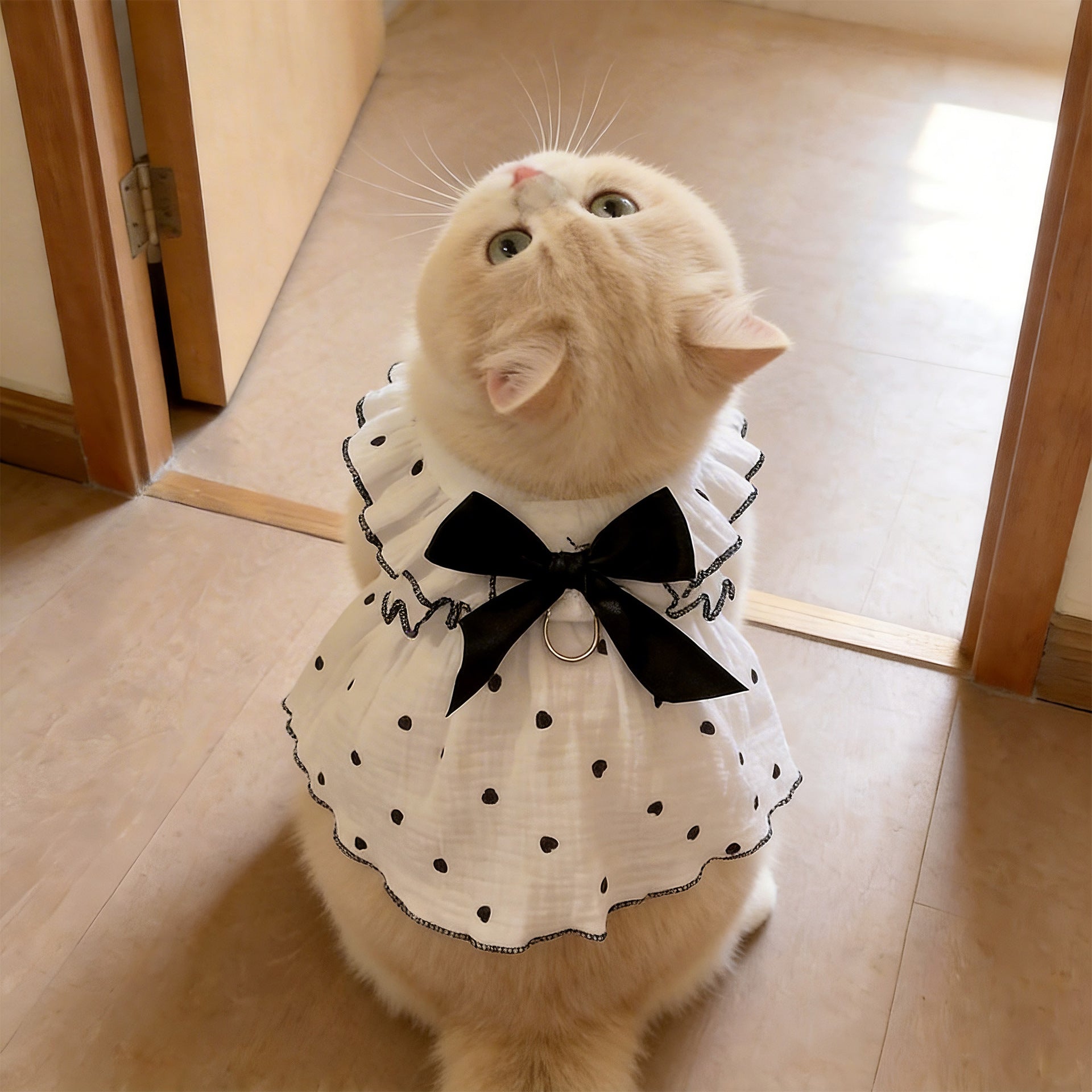 Pet Anti-Shedding Summer Dress with Leash
