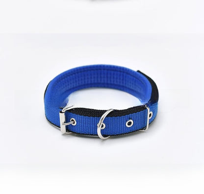 Adjustable Foam Padded Pet Collar