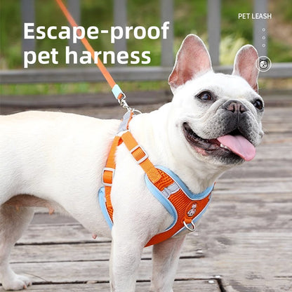 Suitable for dogs and small cats, and designed for daily walks and outdoor activities.