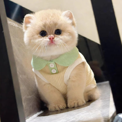 Pet Polo Shirt for Small Dogs and Cats