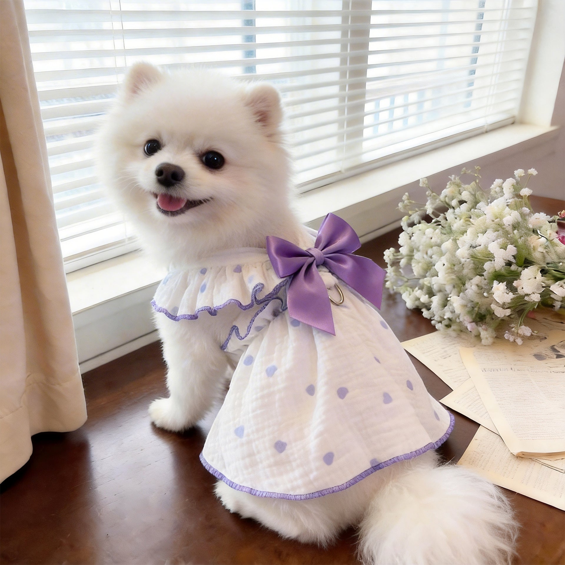Pet Anti-Shedding Summer Dress with Leash