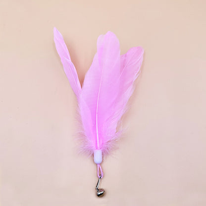 cat teaser wand