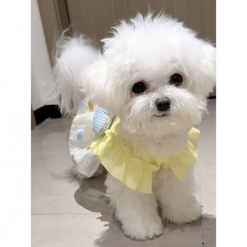 Pet dog clothes