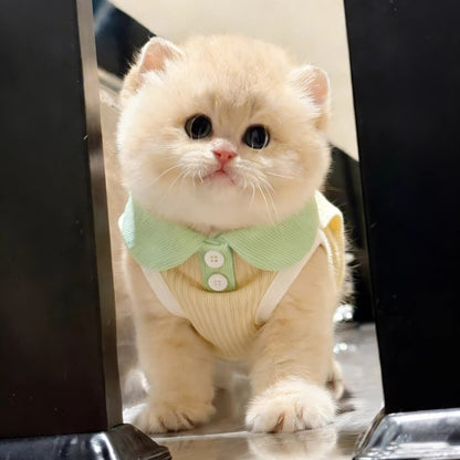 Pet Polo Shirt for Small Dogs and Cats