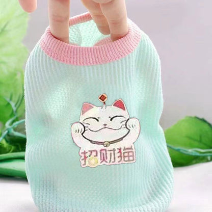 Cat clothes, dog pet clothing