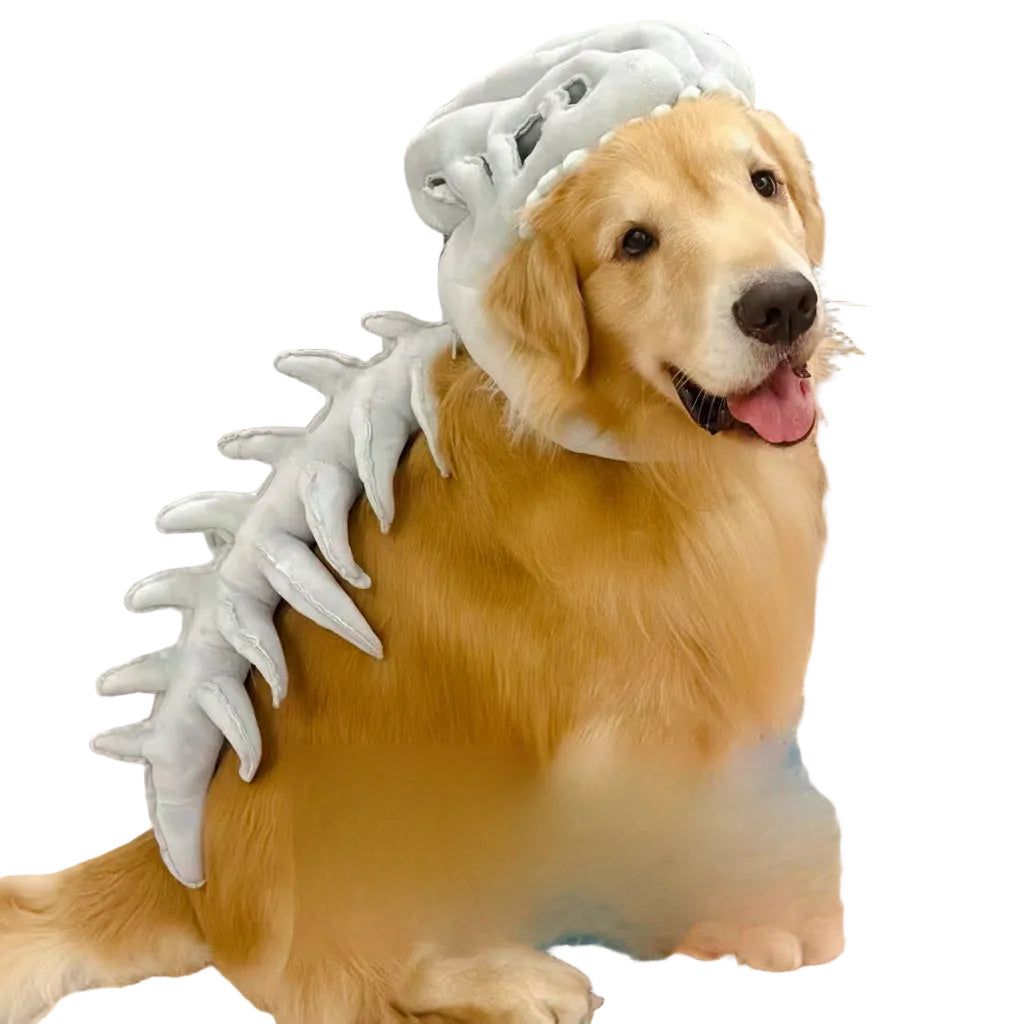 Skeleton Dinosaur Headgear Pet Cat and Dog Hat
