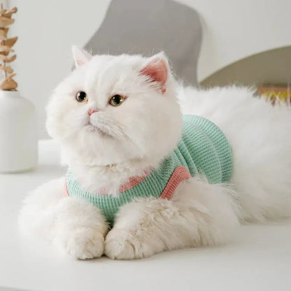 Cat clothes, dog pet clothing