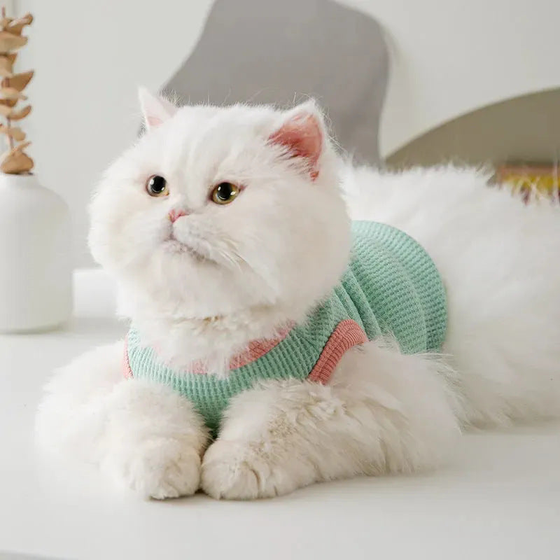 Cat clothes, dog pet clothing