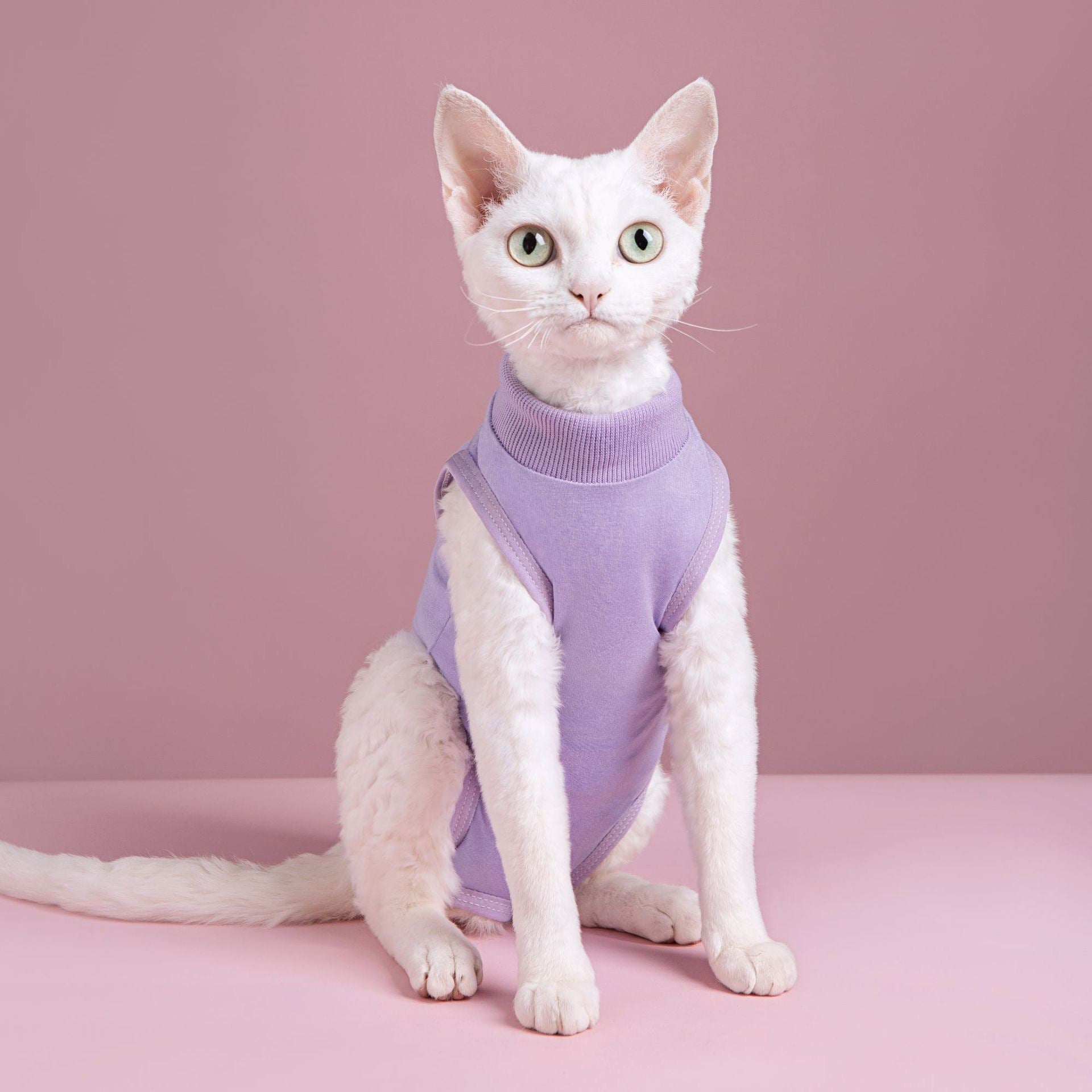 Cat Sterilization and Postpartum Recovery Vest