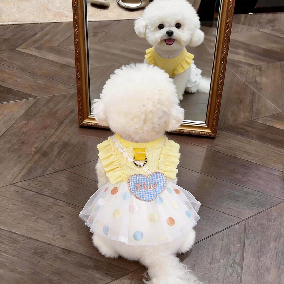 Summer Pet Dress for Small Dogs