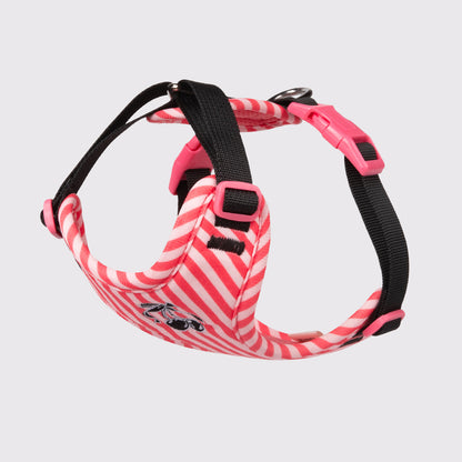 Adjustable Pet Vest Harness with Leash for Small Dogs
