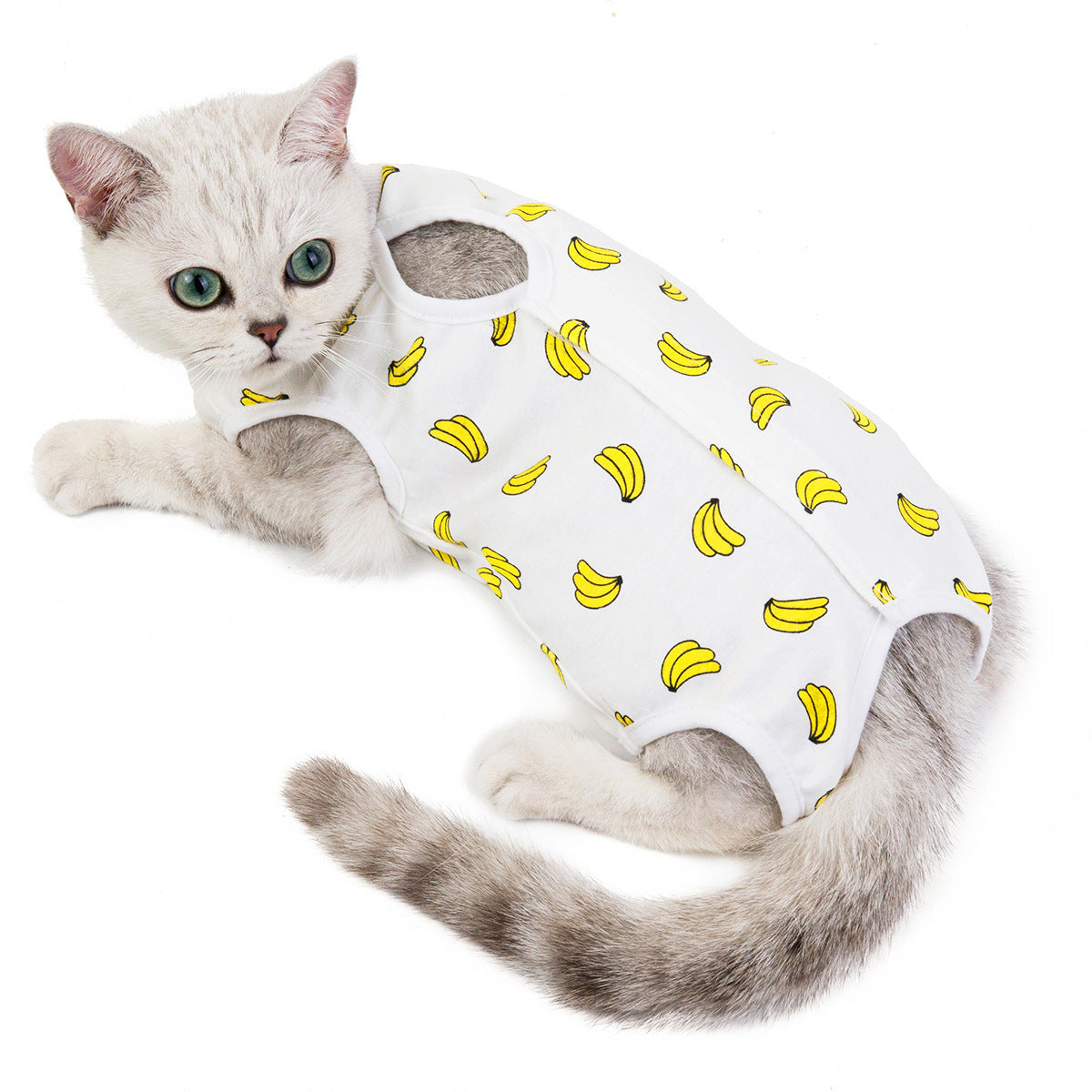 Cat Sterilization and Postpartum Recovery Vest