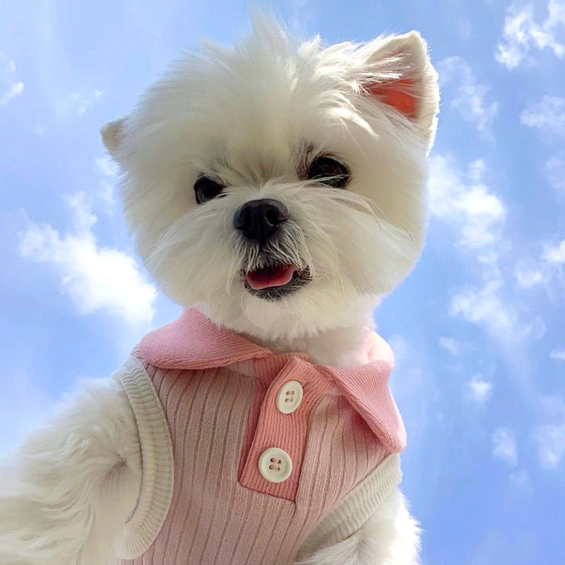 Summer Pet Bichon Frise and Spring/Autumn Kitten Polo Shirt