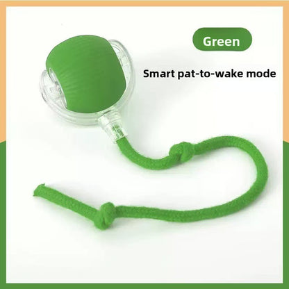 Automatic Cat Teasing Ball Toy