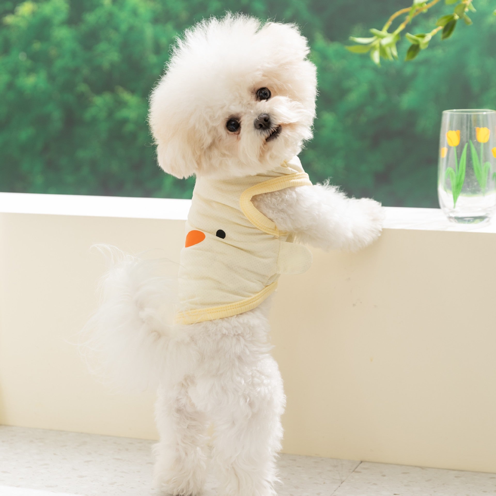 Cool Cool Dog Clothes