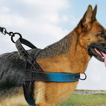 Tactical Dog Harness and Leash Set