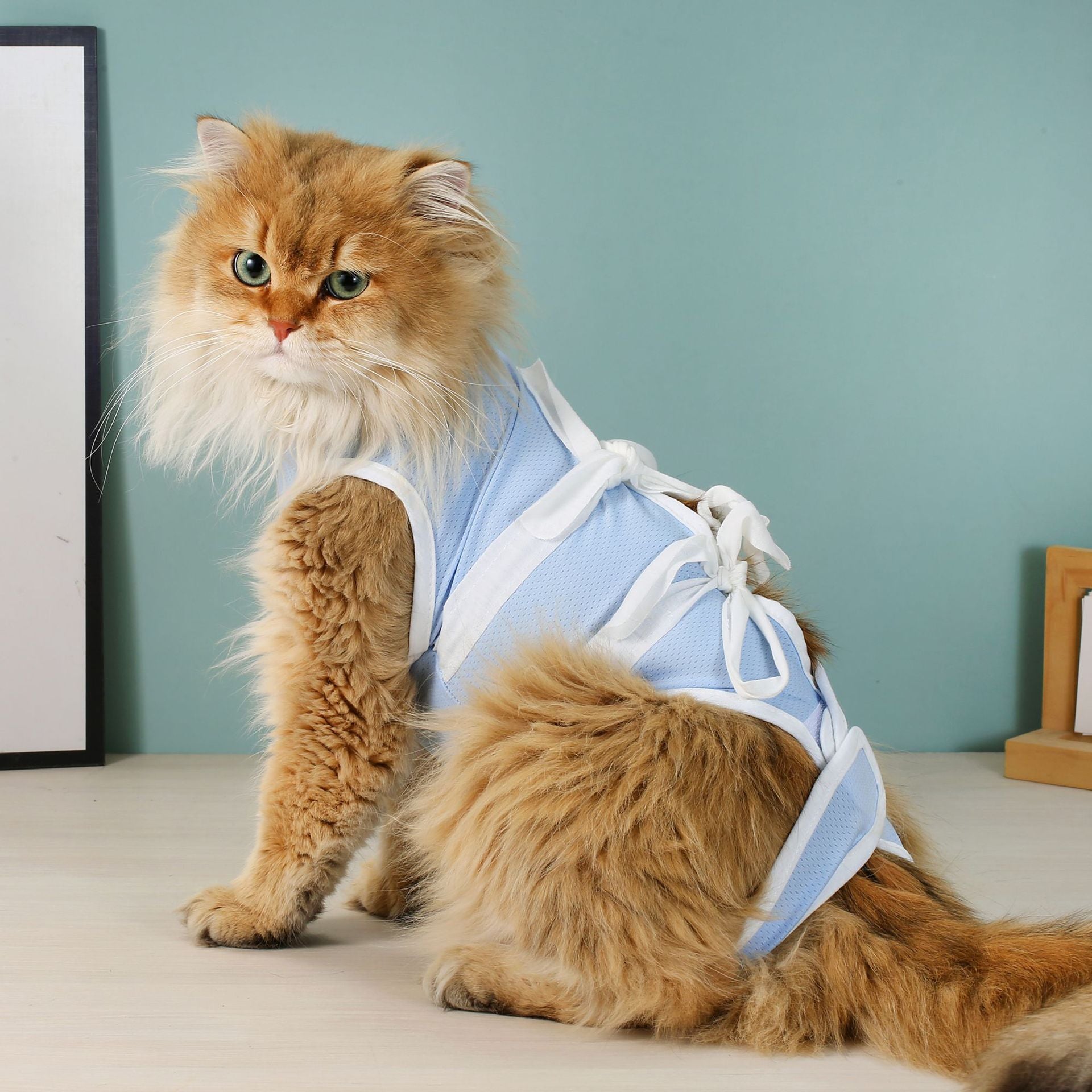 Blue Cat Pet Post-Surgery Recovery Suit for Cats