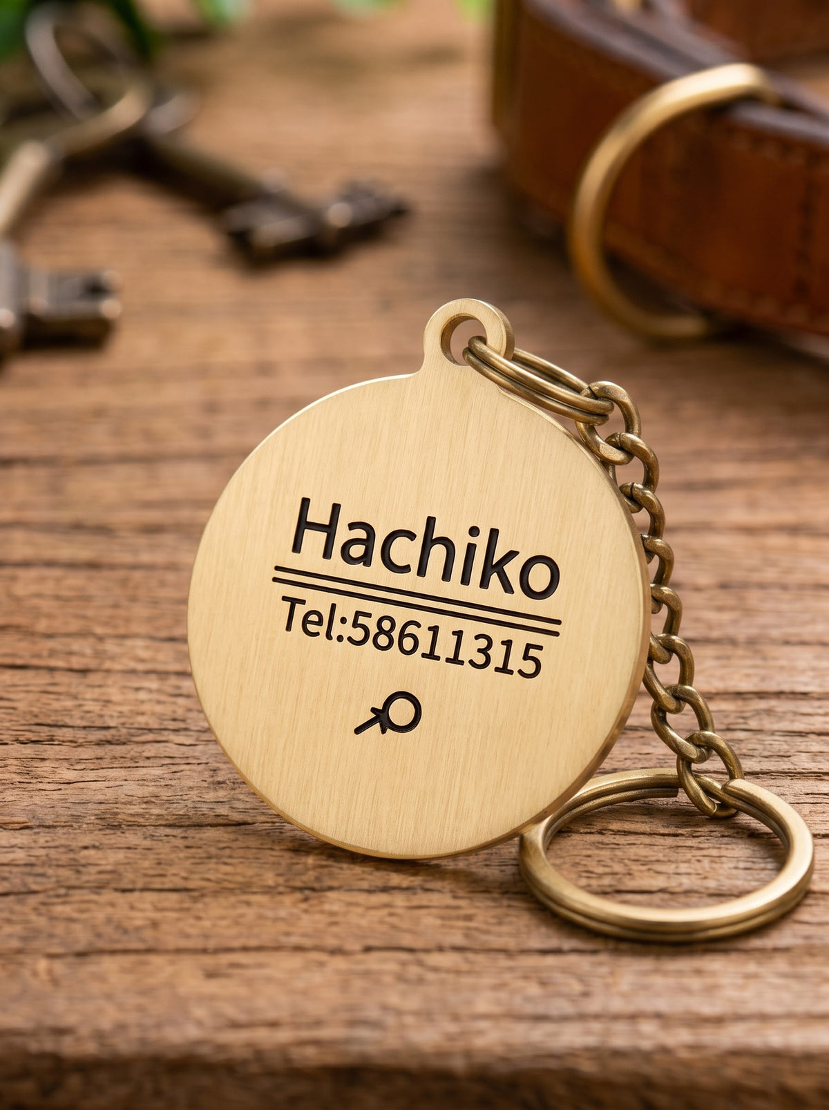 Gold round dog ID tag engraved with name and phone number