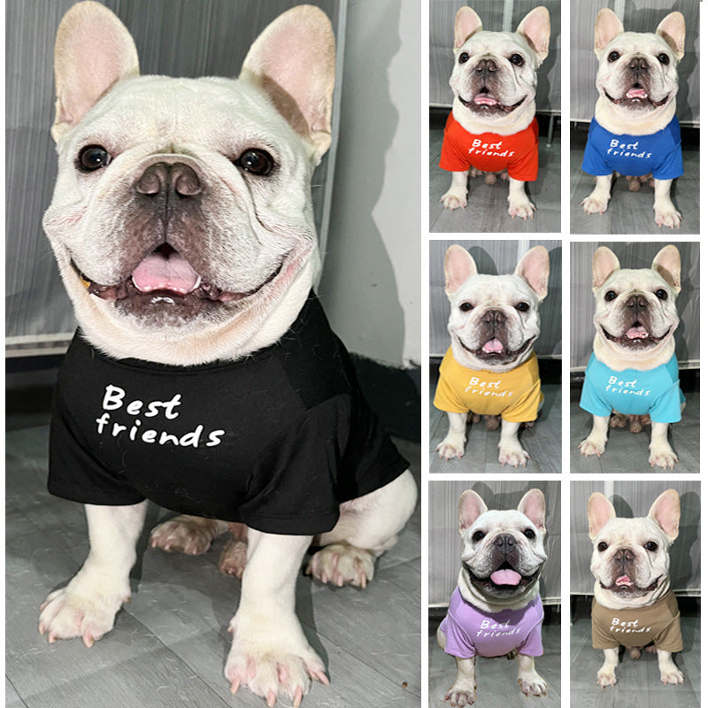 Round Neck T-Shirt Teddy Bichon Cat and Dog Clothing