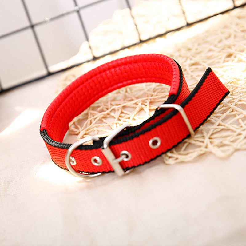Adjustable Foam Padded Pet Collar
