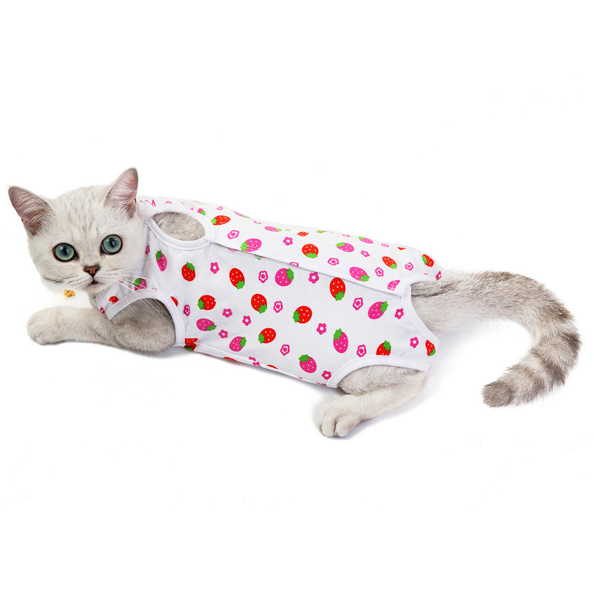 Cat Sterilization and Postpartum Recovery Vest