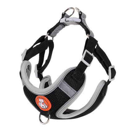 Suitable for dogs and small cats, and designed for daily walks and outdoor activities.