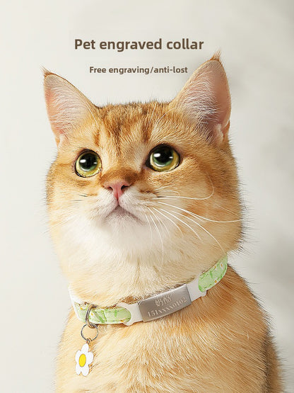 Cat Collar with Engraving