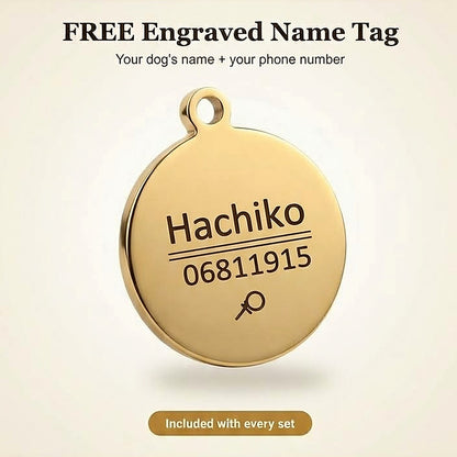 FREE round gold ID tag engraved with your dog's name and phone number