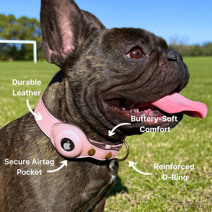 AirTag dog collar features: soft suede, secure AirTag pocket, reinforced D-ring