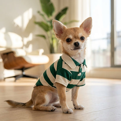 Pet dog clothes
