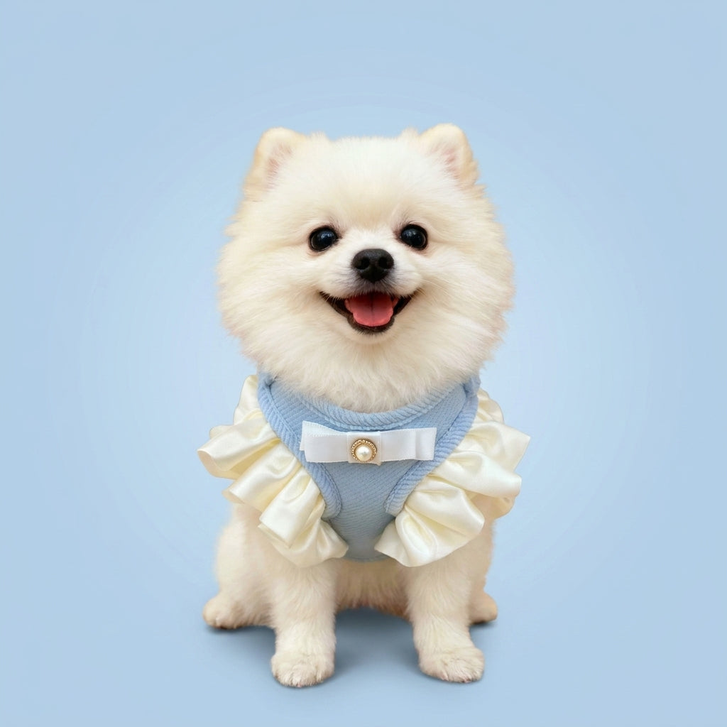 Adjustable Pet Harness and Leash Set