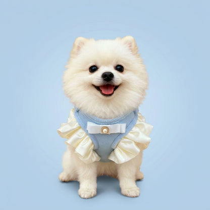Adjustable Pet Harness and Leash Set