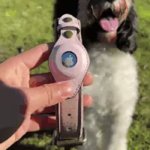 Placing an AirTag into the dog collar pocket